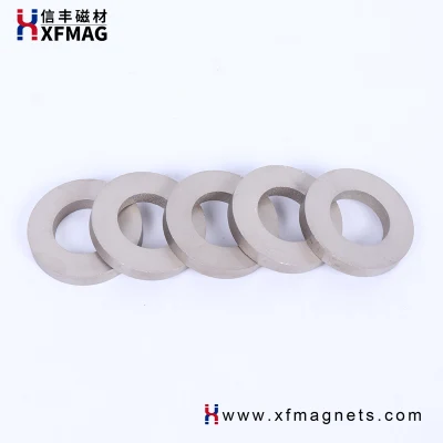 China-Lieferant Samarium-Kobalt-Magnet-Seltenerd-SmCo-Ring, maßgeschneiderter starker Magnet